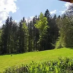 Birke - Bergerhoeh Bad Wiessee