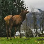 Apartmán Birke - Bergerhoeh Bad Wiessee
