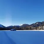 Birke - Bergerhoeh