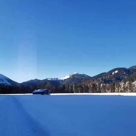 Birke - Bergerhoeh