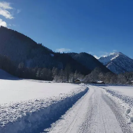 Birke - Bergerhoeh Bad Wiessee