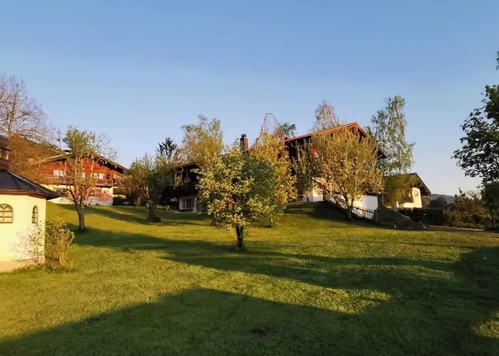 Apartment Birke - Bergerhoeh