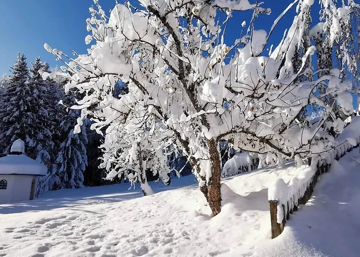Διαμέρισμα Birke - Bergerhoeh Bad Wiessee