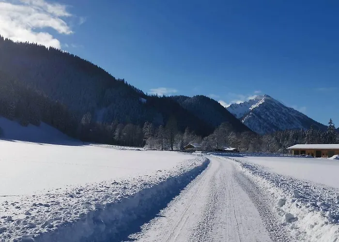 Birke - Bergerhoeh Bad Wiessee